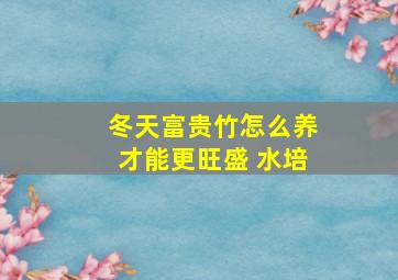 冬天富贵竹怎么养才能更旺盛 水培